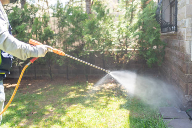 Best Local Pest Control Services  in Tifton, GA