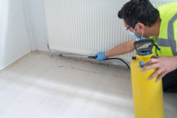 Best Cockroach Control Services  in Tifton, GA